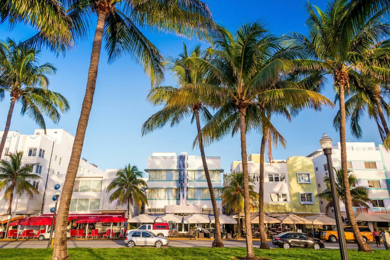 The Jasmine Units On South Beach Lejlighed Miami Beach Eksteriør billede